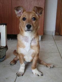 Cassy
