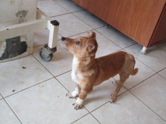 Cassy
